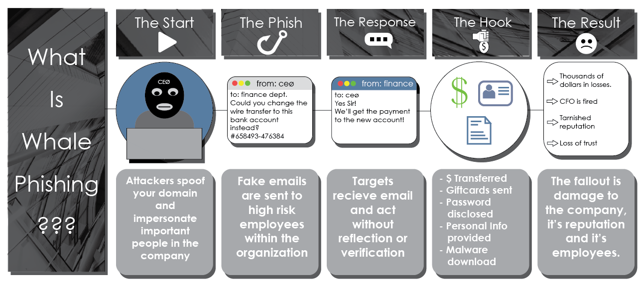 Whale Phishing Graphic